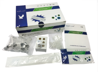 Schnelltest Covid-19 Antigen