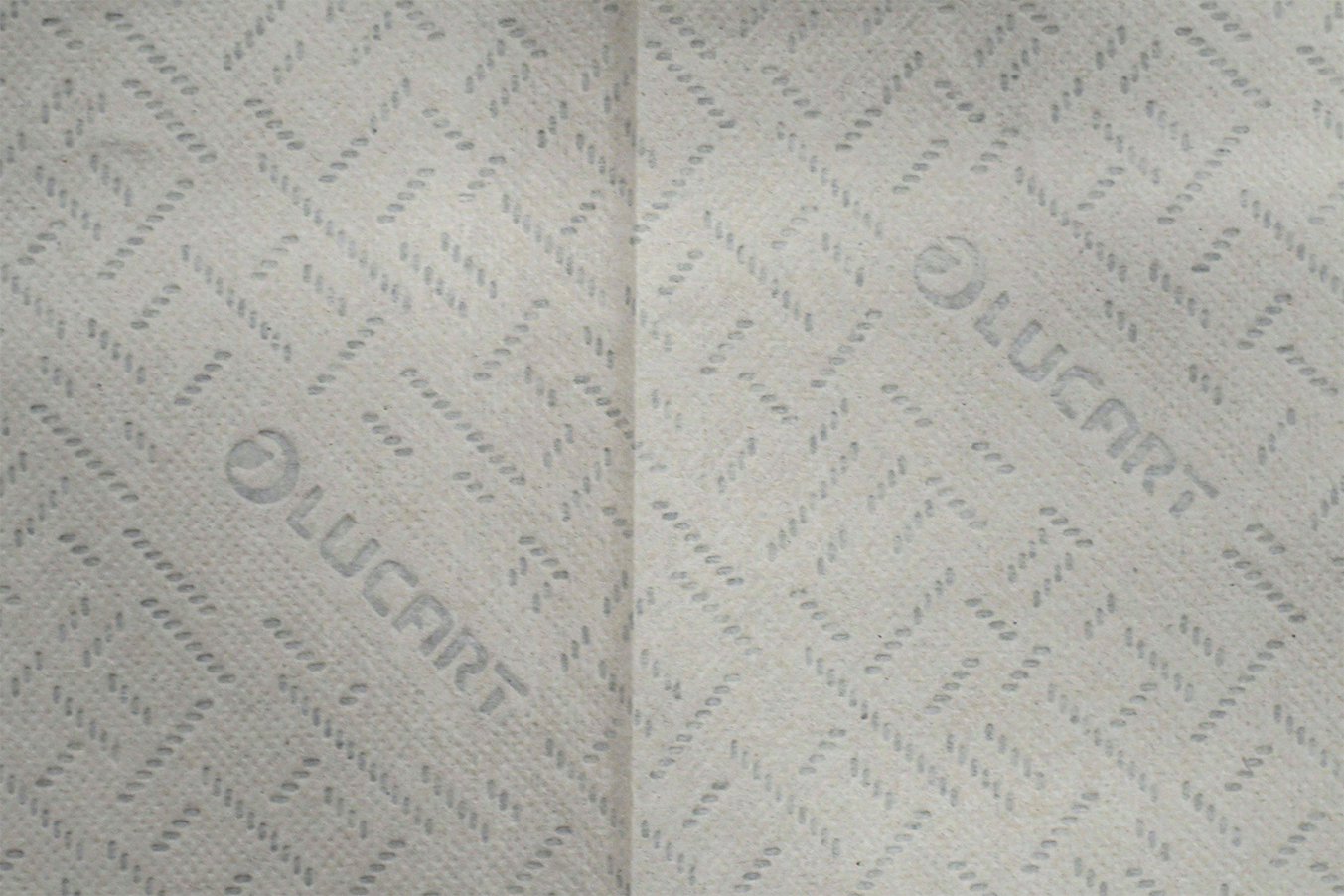 Falthandtücher Lucart EcoNatural V2