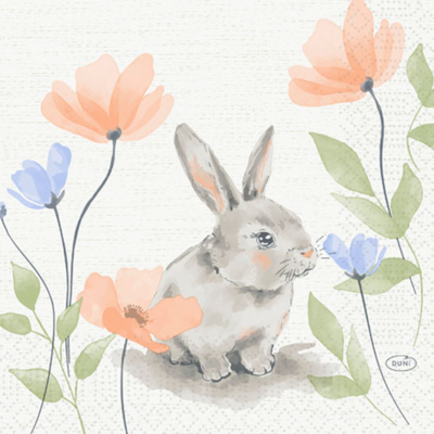 Tissue-Serviette