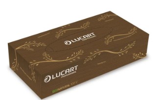 Kosmetiktücher Lucart EcoNatural